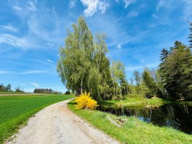 Siebenlinden, &copy; Dr. Markus Peham