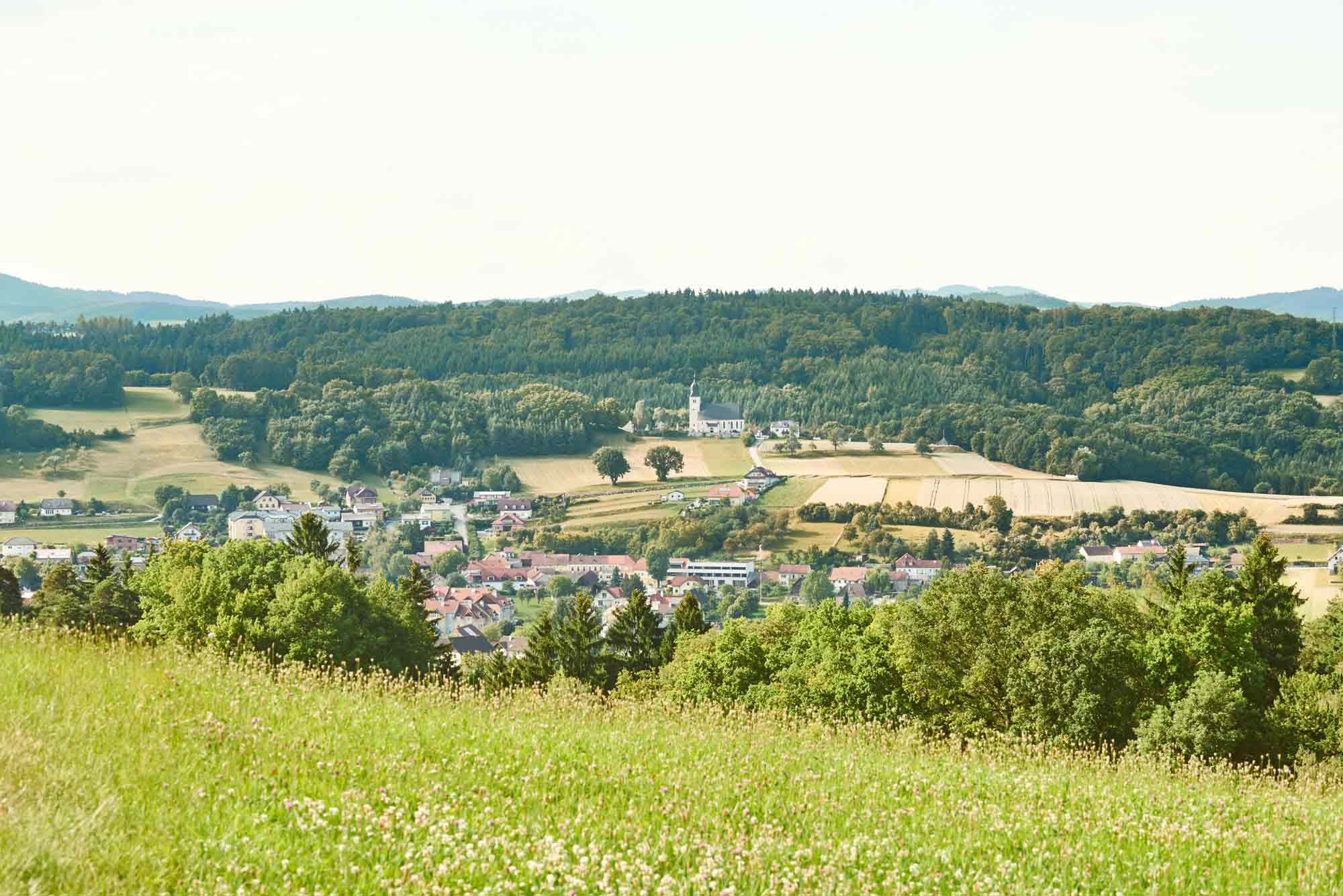 Panoramablick auf Leiben mit grünen Feldern und Wäldern im Hintergrund.