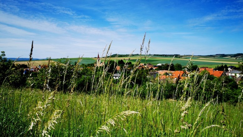 Landschaft mit Wiese, Dorf und Hügeln im Hintergrund unter blauem Himmel.