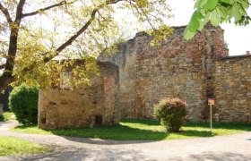Alte Stadtmauer in Horn, umgeben von B&auml;umen und Gr&uuml;nfl&auml;chen.
