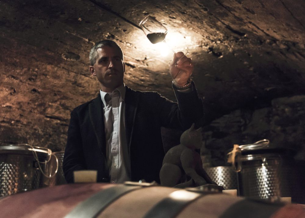 Person im Weinkeller hält ein Glas Wein gegen das Licht.