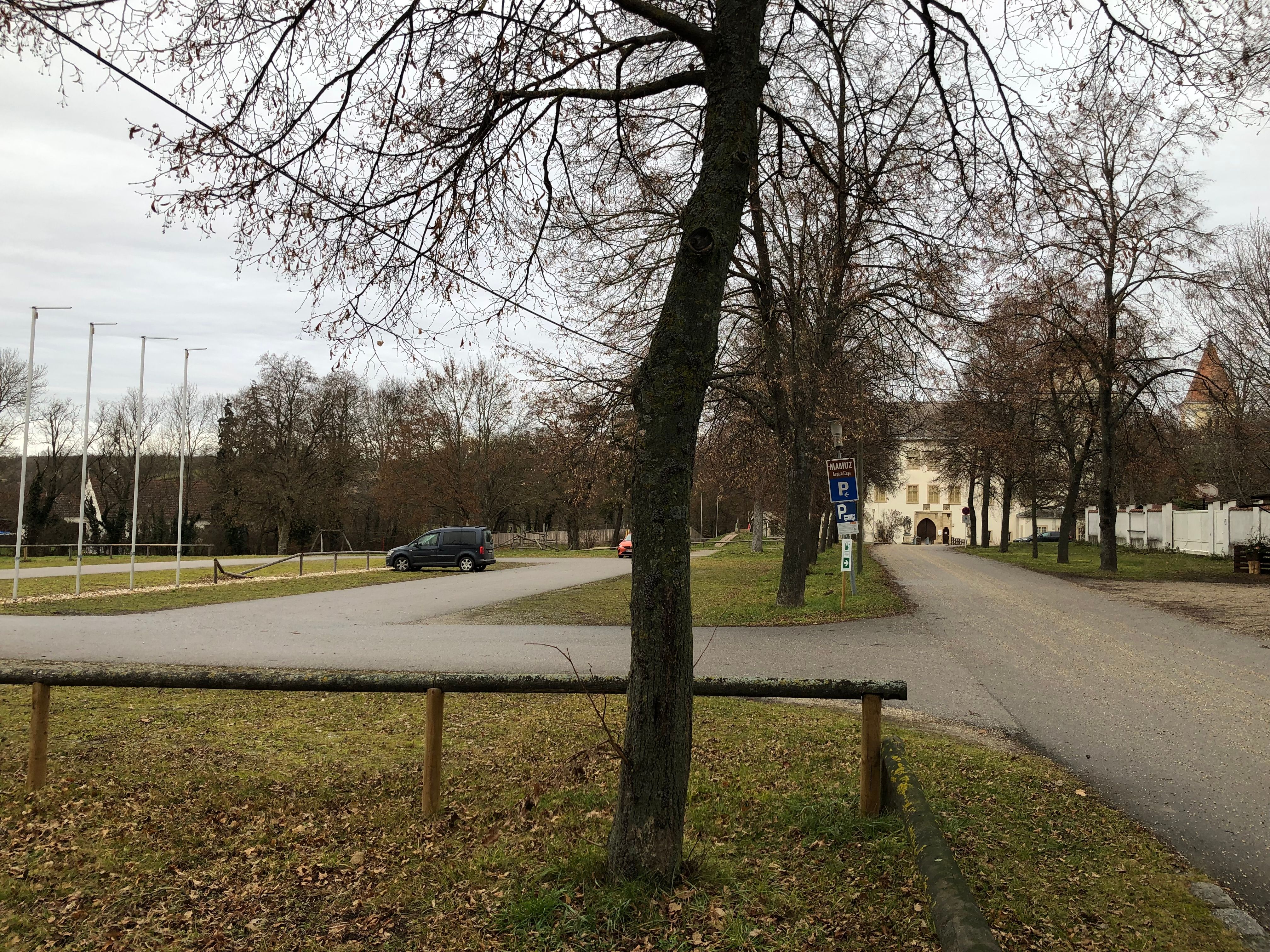 Parkplatz mit Bäumen und einem Gebäude im Hintergrund.