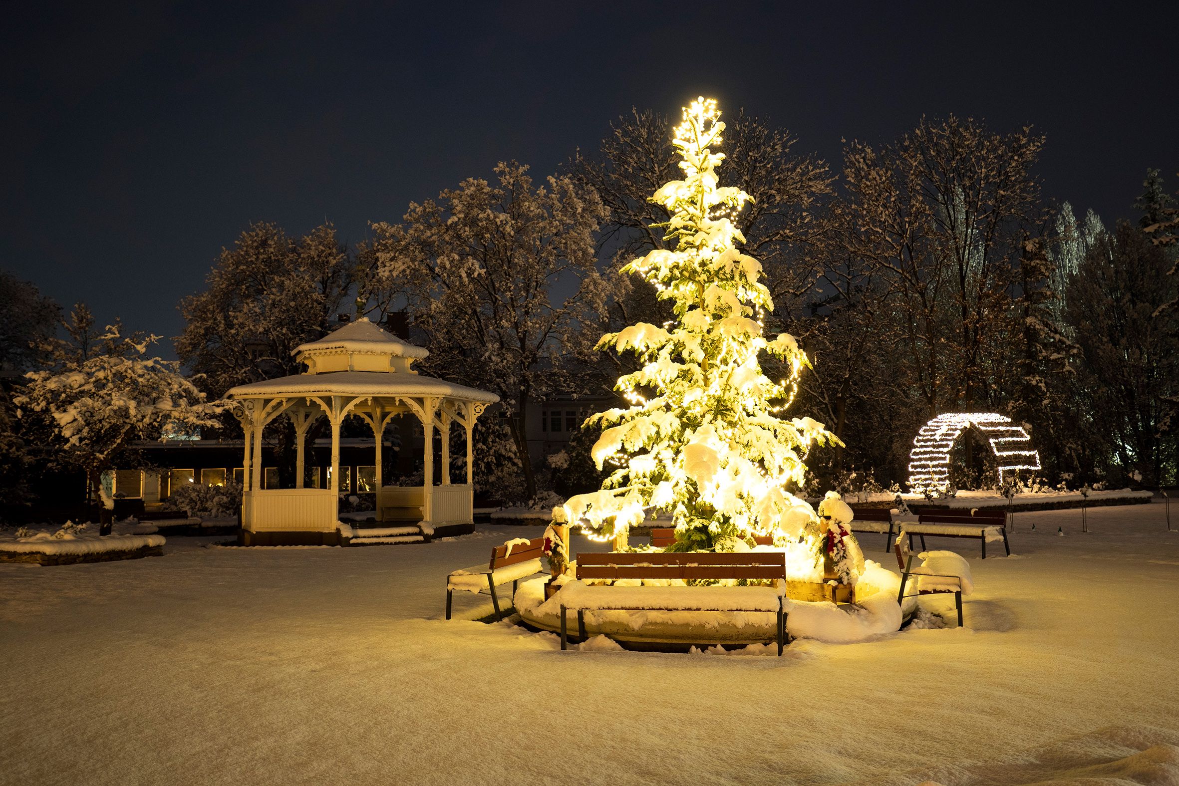 Verschneiter Baum und Pavillon im Stadtpark