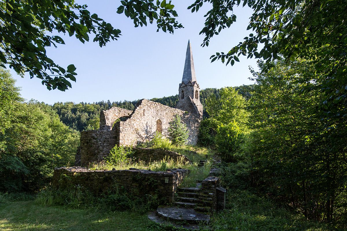 Ruine einer alten Kirche mit Turm inmitten von Bäumen.