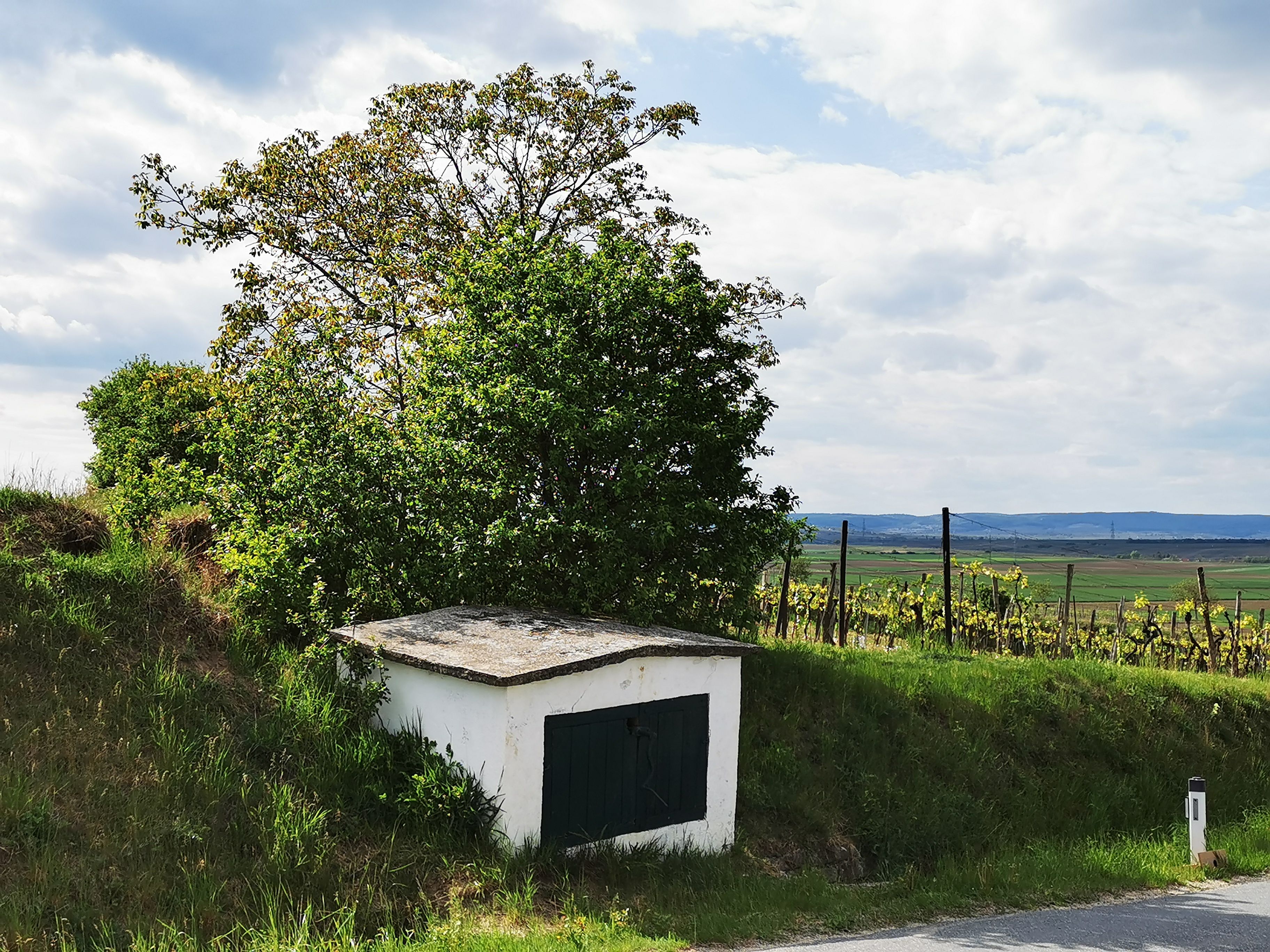 Kleines weißes Gebäude mit grünem Tor in einer ländlichen Landschaft, umgeben von Bäumen und Weinreben.
