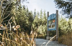 Ein malerischer Wanderweg führt durch das Hochmoor Leckermoos, umgeben von üppigen, grünen Wiesen und majestätischen Nadelbäumen. Die frische, klare Luft und das sanfte Rascheln der Blätter schaffen eine beruhigende Atmosphäre, die zum Verweilen einlädt. Hier, inmitten der Ybbstaler Alpen, entfaltet sich die Schönheit der Natur in ihrer reinsten Form.