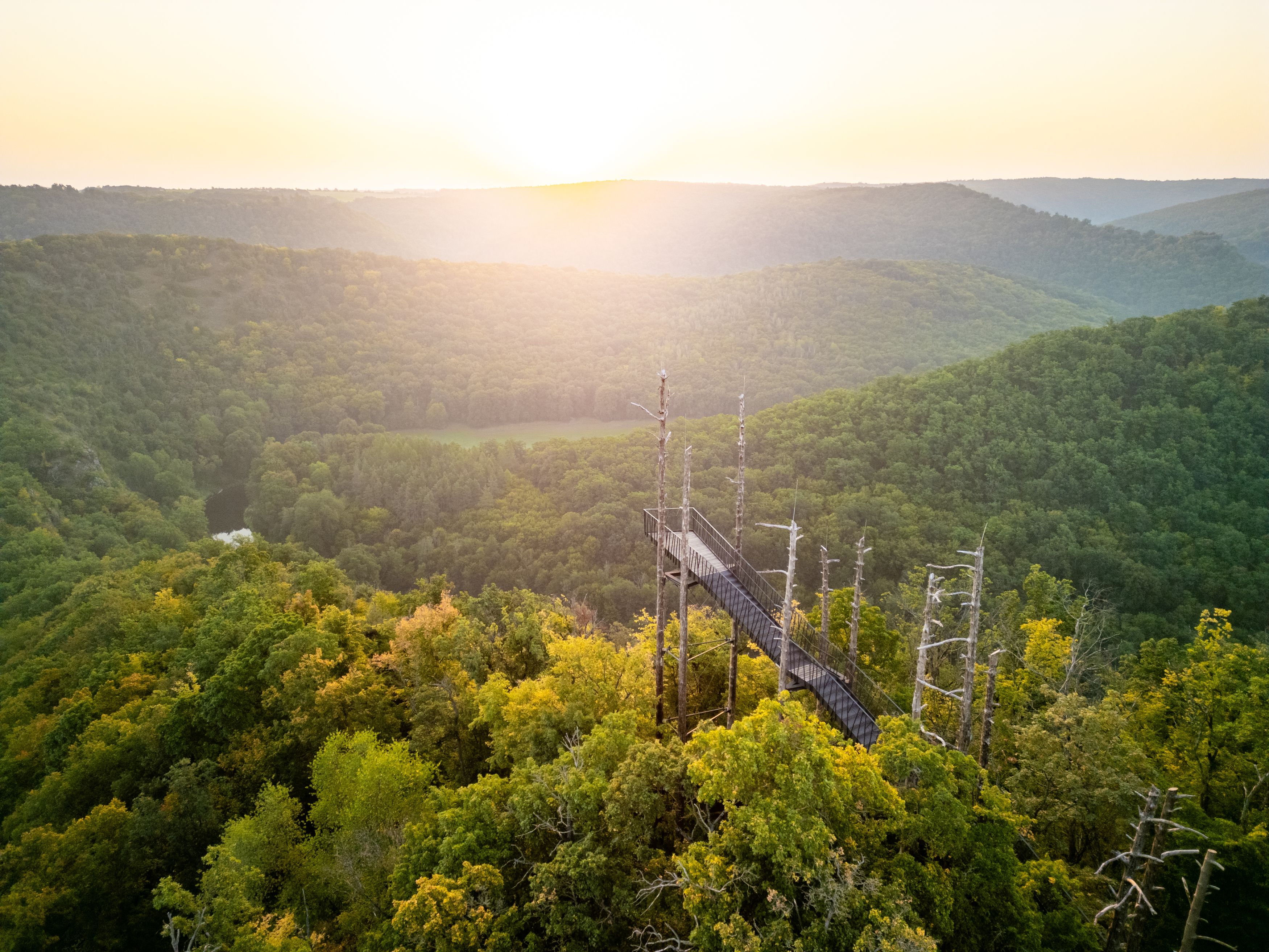 Aussichtsplattform im Wald mit Sonnenuntergang im Hintergrund.