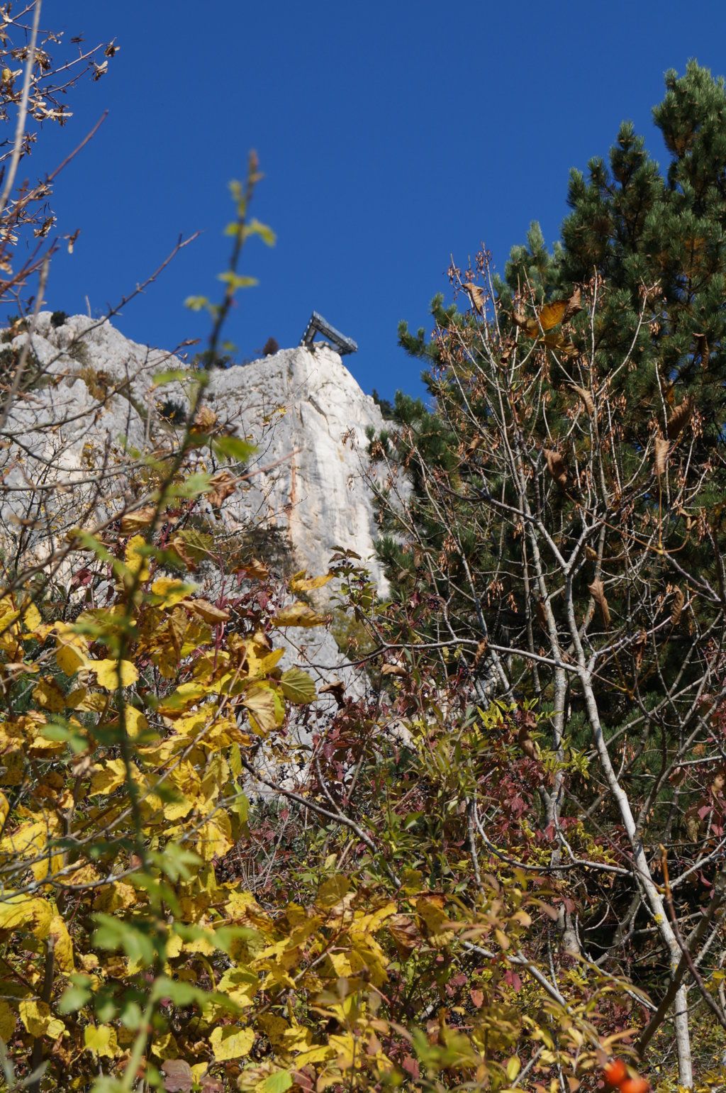 Aussichtsplattform auf einem Felsen, umgeben von herbstlichen Bäumen.