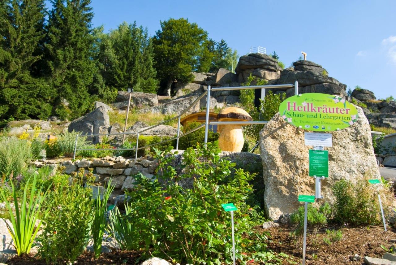 Heilkräutergarten mit Pflanzen und Felsen in Bad Traunstein.