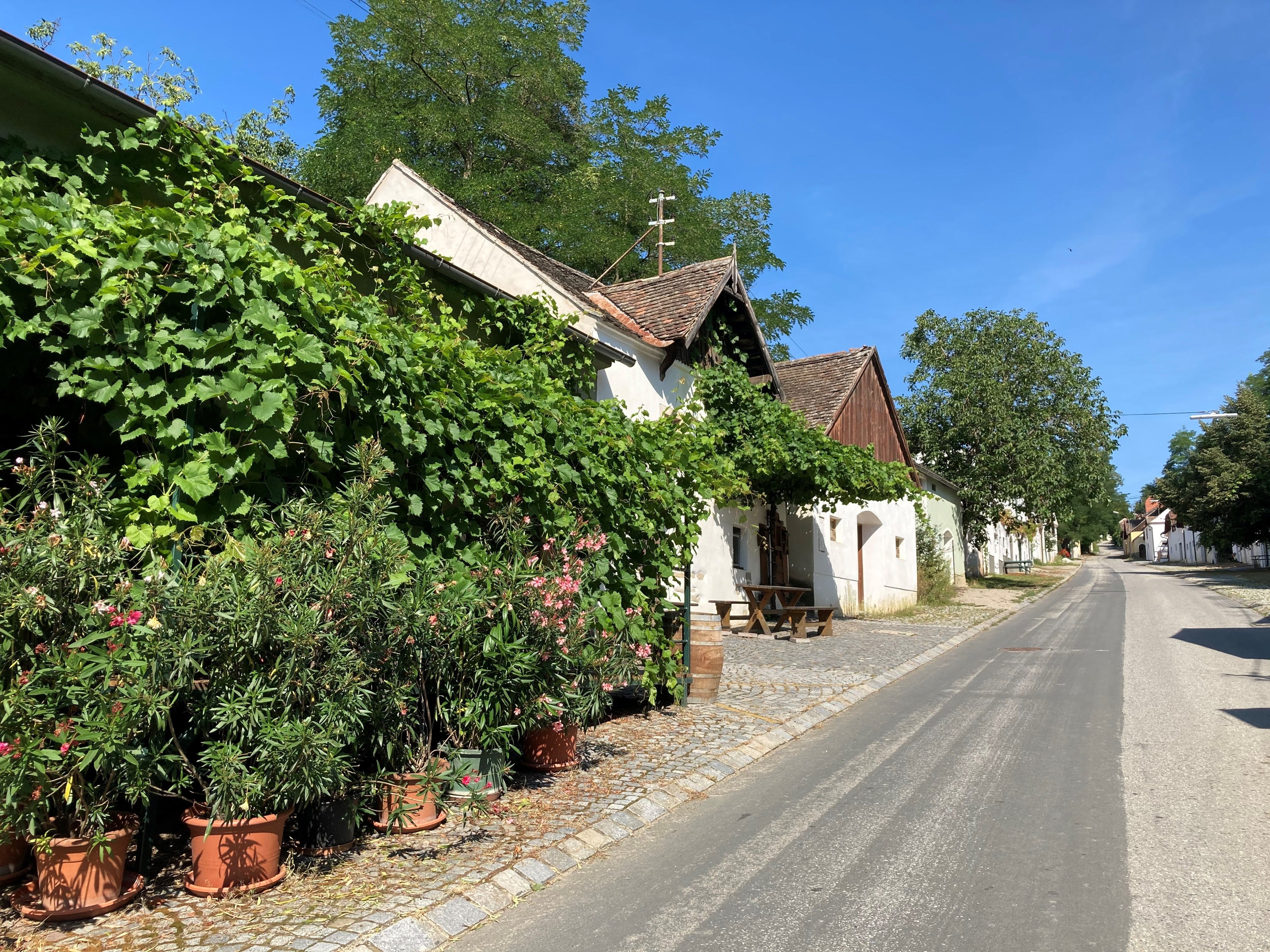 Eine ruhige Straße mit traditionellen Häusern, umgeben von üppigem Grün und blühenden Pflanzen.