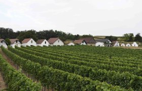 Kellergasse Prellenkirchen, VIA.CARNUNTUM., © Donau Niederösterreich, Steve Haider