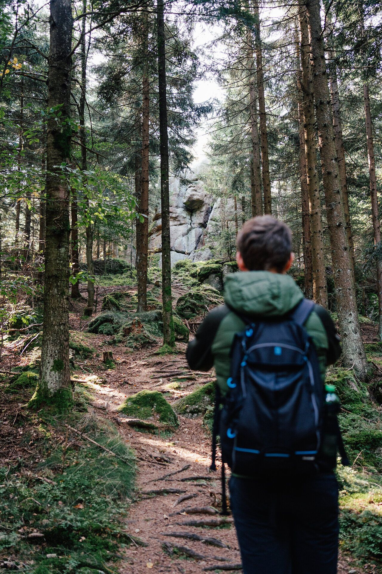 Person mit Rucksack wandert auf einem Waldweg im Yspertal.