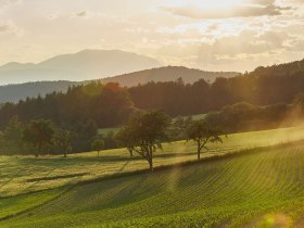 Blick in die Bucklige Welt, &copy; &copy;Nieder&ouml;sterreich-Werbung, Foto: Michael Liebert