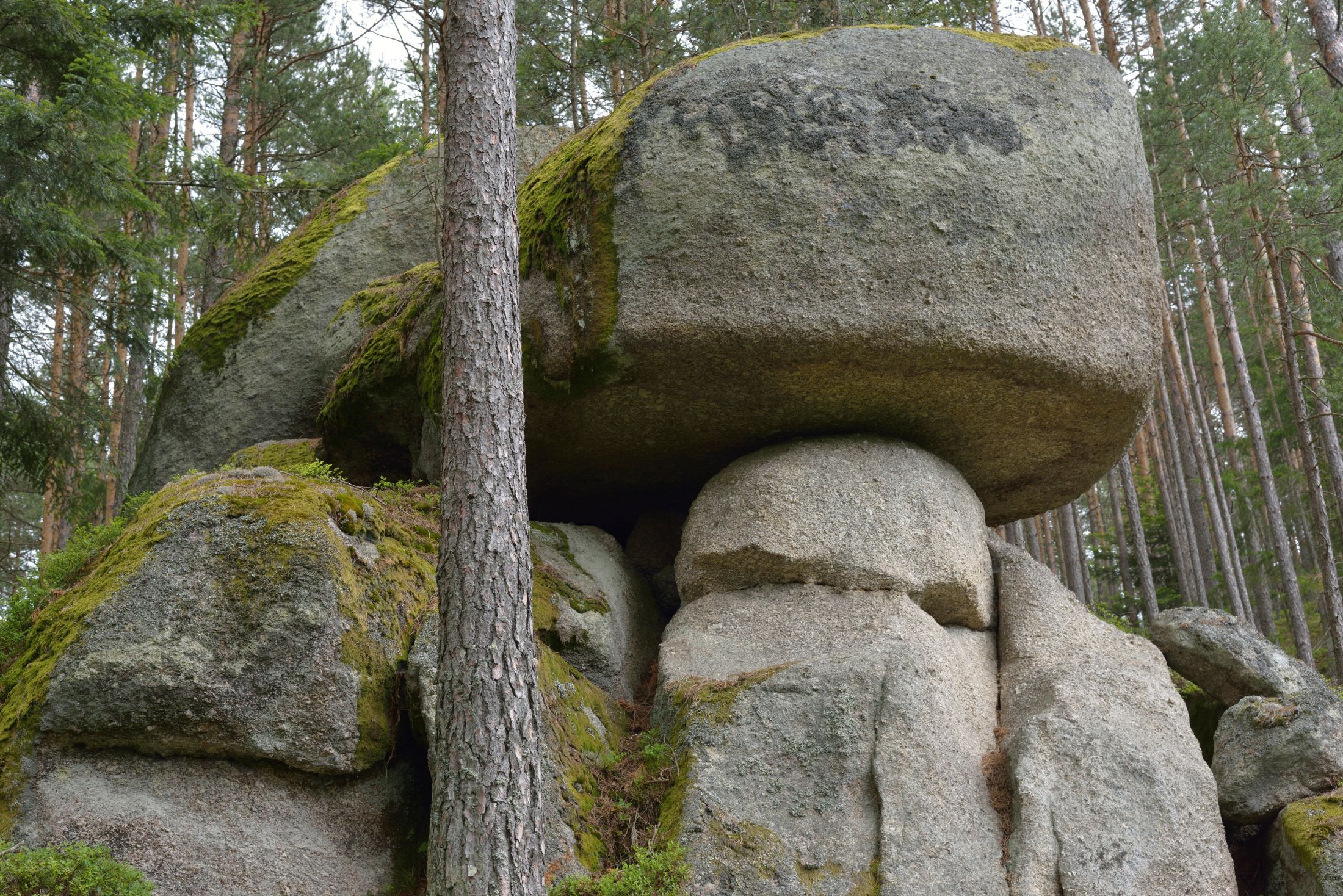 Großer, moosbedeckter Felsen im Wald, der wie ein Pilz geformt ist.