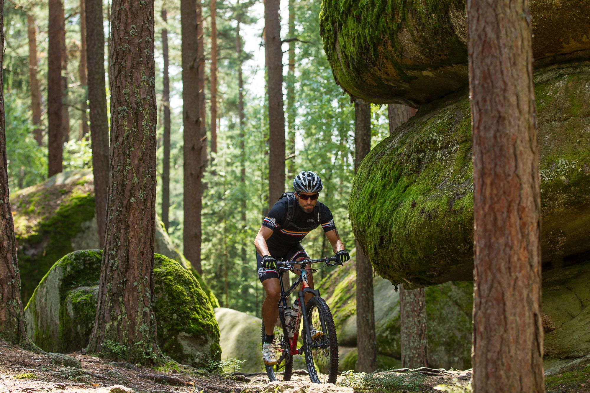 Ein Mountainbiker fährt durch einen Wald mit großen, moosbedeckten Felsen.