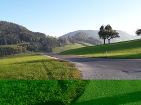 Am Freithofberg, &copy; W. D&uuml;rauer