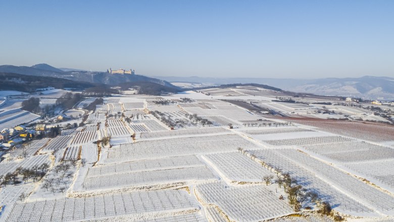Winter Naturgartenurlaub in Steffis Ferienwohnungen, &copy; Robert Herbst