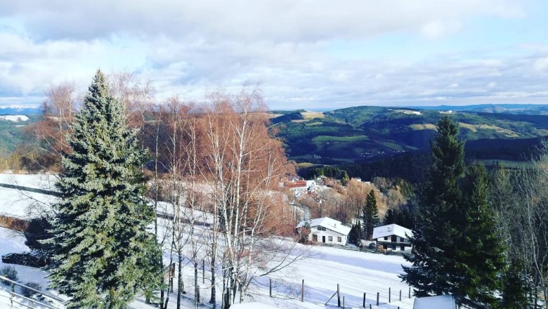 Winterlandschaft mit schneebedeckten B&auml;umen und H&uuml;geln im Hintergrund.