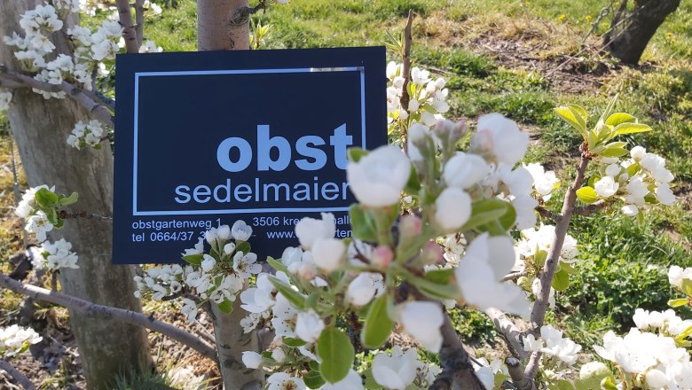 Obsthof Sedelmaier, &copy; Obsthof Sedelmaier