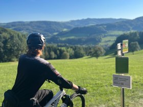 Elsbeere Singletrail, &copy; MTB-Initiative St.P&ouml;lten