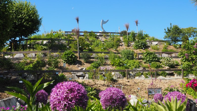 Ein terrassierter Garten mit verschiedenen Pflanzen und violetten Bl&uuml;ten im Vordergrund unter einem klaren blauen Himmel.