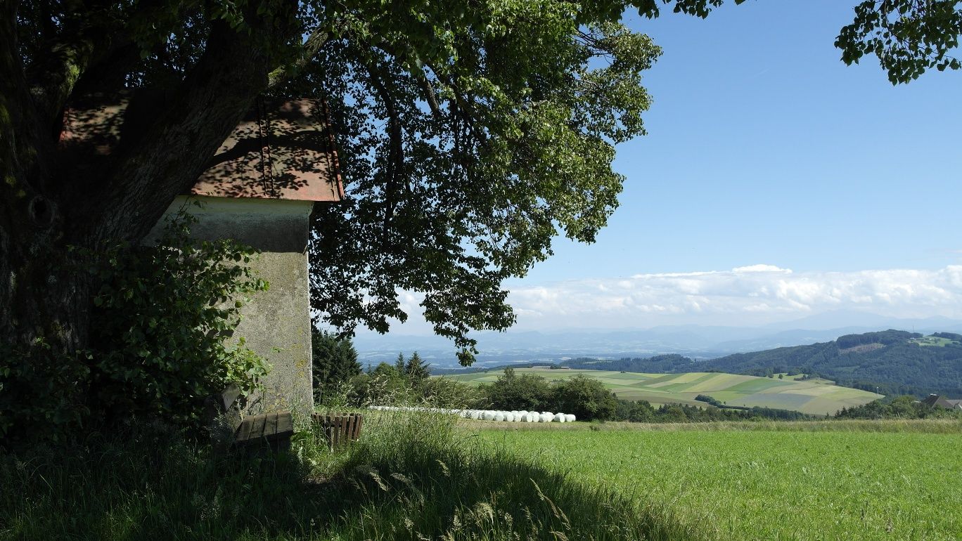 Brandstätter Kreuz - Ausblick