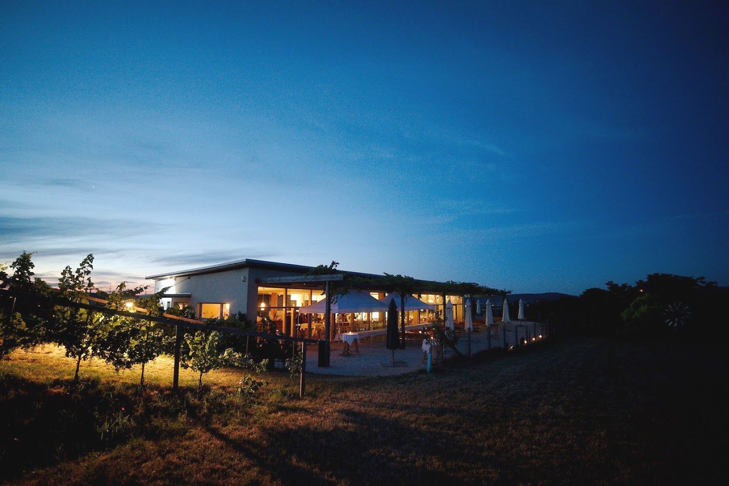 Abendaufnahme einer beleuchteten Buschenschank mit Weinreben im Vordergrund und blauem Himmel im Hintergrund.