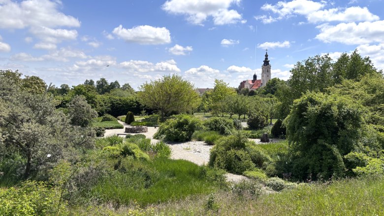 Garten mit gr&uuml;nen B&auml;umen und Str&auml;uchern, im Hintergrund ein Kirchturm unter blauem Himmel.
