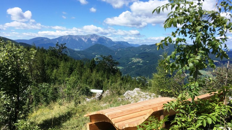 Holzbank mit Bergblick und B&auml;umen im Vordergrund.