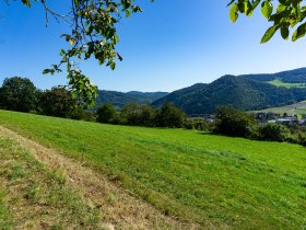 Blick von Station 1 auf P&ouml;ggstall, &copy; Gottfried Grossinger