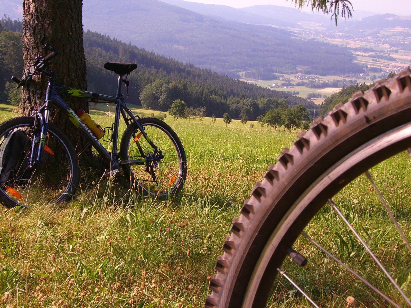 Radwanderweg