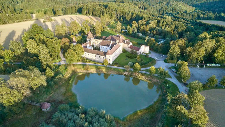 Luftaufnahme von Schloss Waldreichs umgeben von Wald und einem Teich.