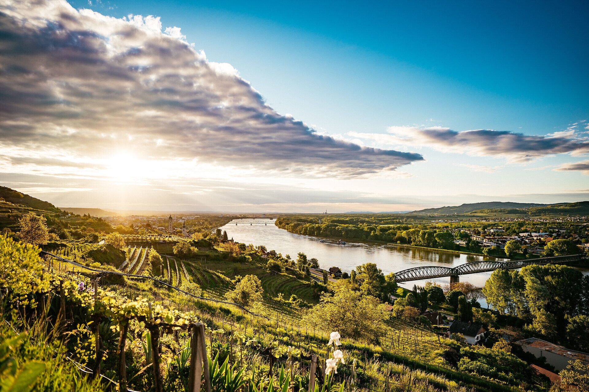 Die sanften Hügel der Wachau sind mit üppigen Weinreben bedeckt, die im warmen Licht der Abendsonne leuchten. Die Donau schlängelt sich majestätisch durch die Landschaft und bietet atemberaubende Ausblicke, die zum Verweilen einladen. Hier, wo Natur und Kultur harmonisch verschmelzen, wird jeder Moment zu einem unvergesslichen Erlebnis.