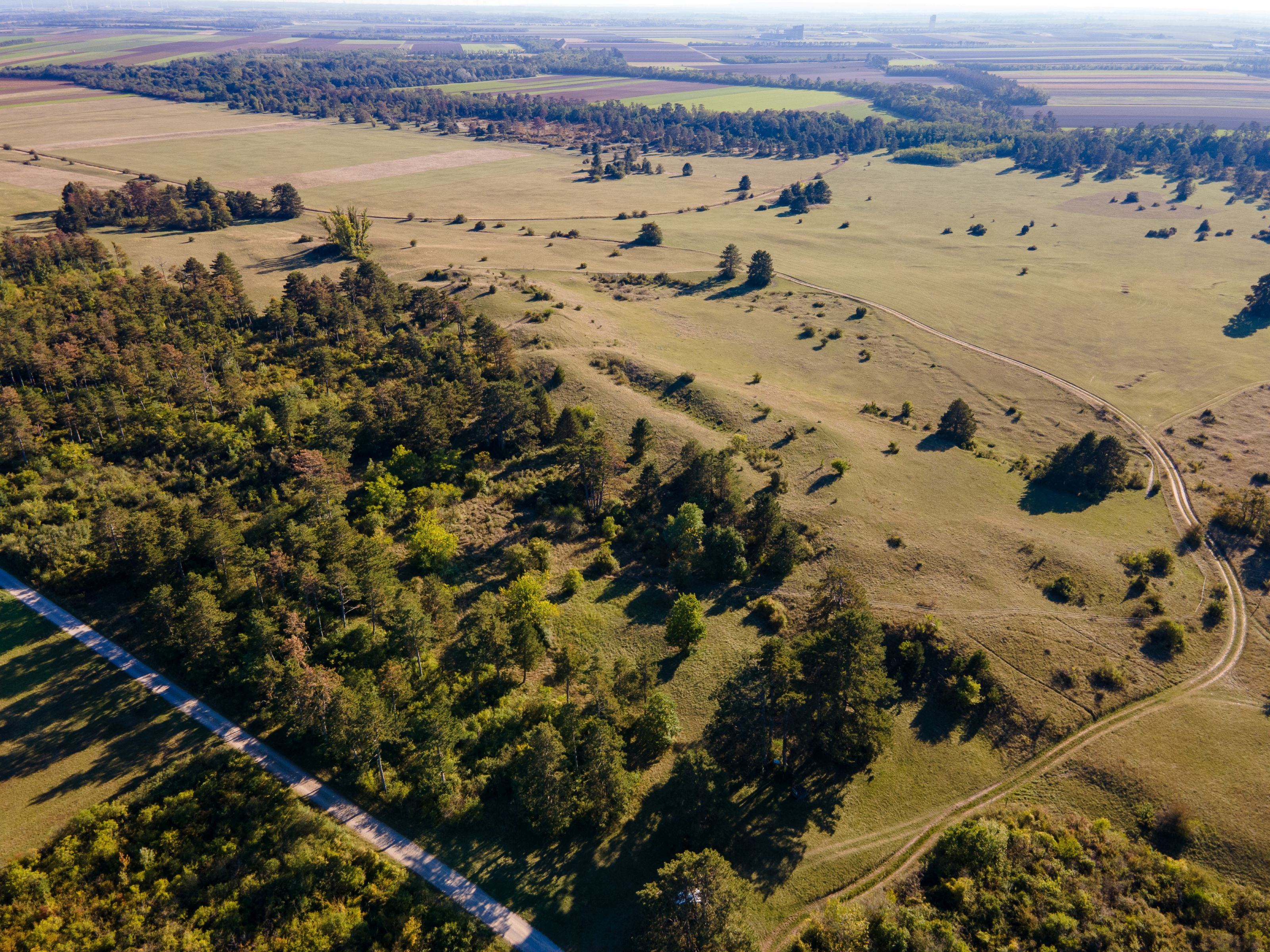 Luftaufnahme der Gemeinde Weiden an der March mit Feldern, Wiesen, Baumgruppen und Wegen in einer weiten Landschaft.