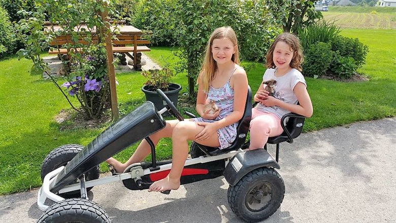 Gokart, &copy; Lothspieler