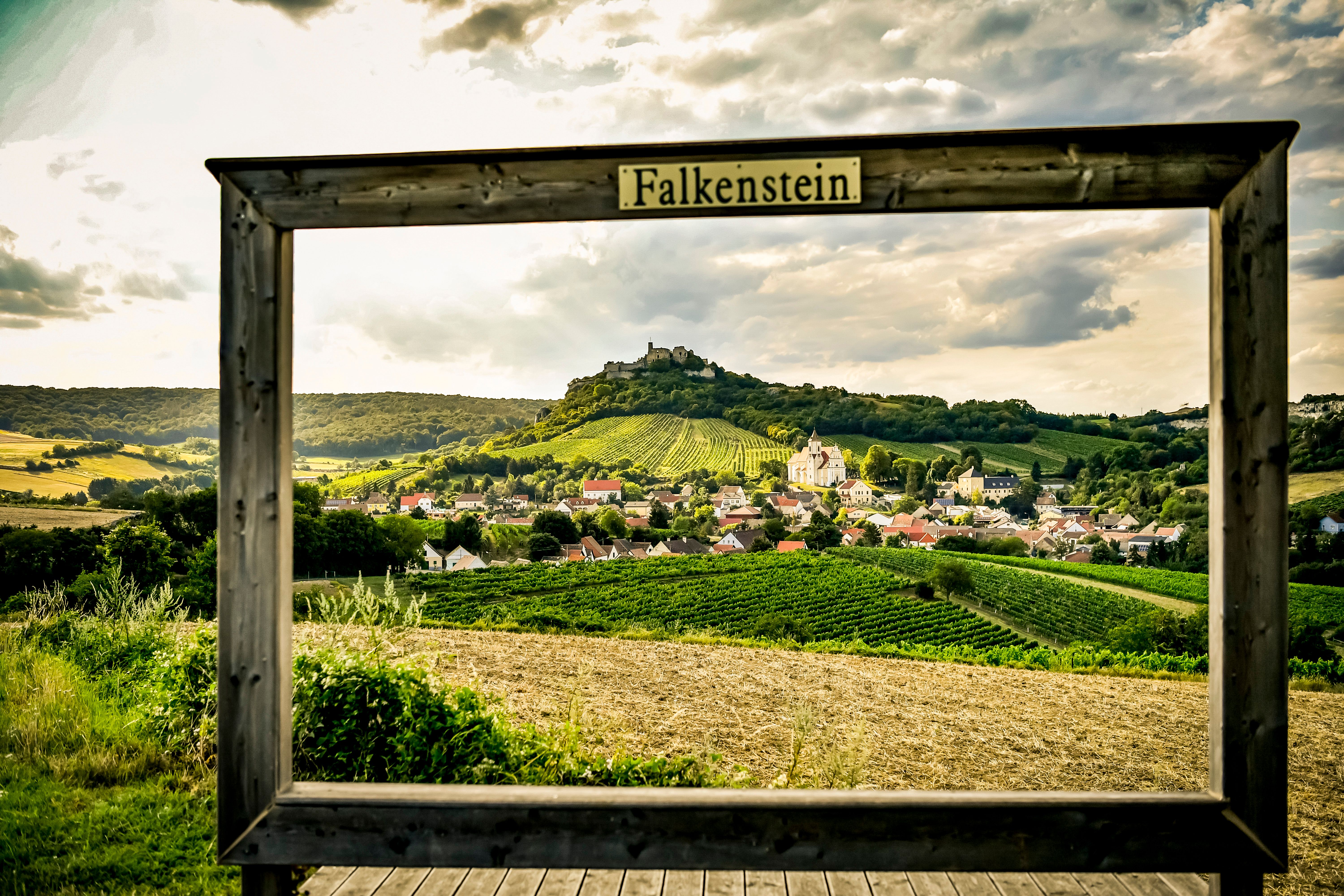 Blick auf das Dorf Falkenstein mit Weinbergen und einer Burgruine im Hintergrund, eingerahmt von einem Holzrahmen mit der Aufschrift 'Falkenstein'.