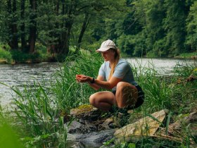 Eine Frau kniet am Ufer der Thaya im Nationalpark Thayatal, umgeben von dichter Vegetation und reichem Gr&uuml;n.