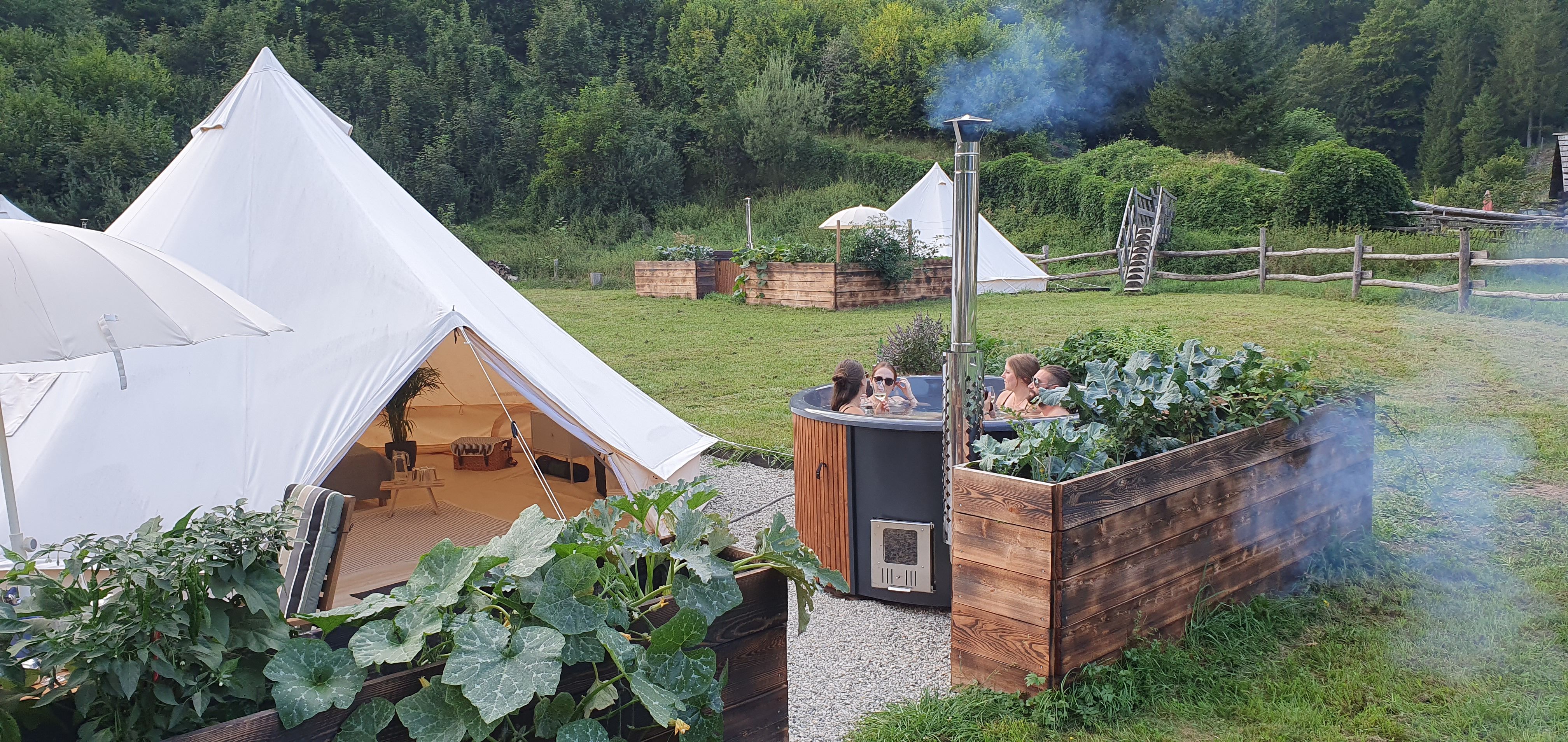 Glamping-Zelte und Hot Tub in grüner Umgebung.