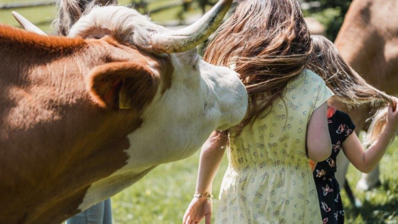 Biohof Teufel, &copy; Gerald Demolsky
