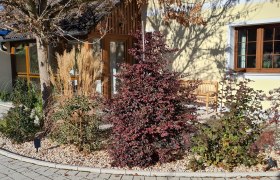 Gartenansicht eines Ferienhauses mit Pflanzen und Bäumen vor gelber Fassade.