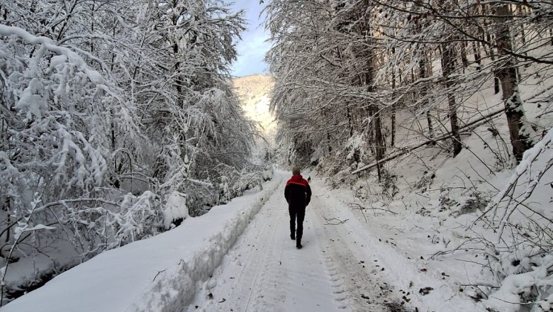 ferienhof-schelchen-im-winter-21, &copy; Schoisswohl