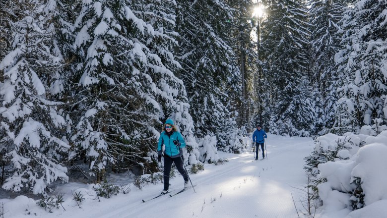 Zwei Personen beim Langlaufen durch einen verschneiten Wald.