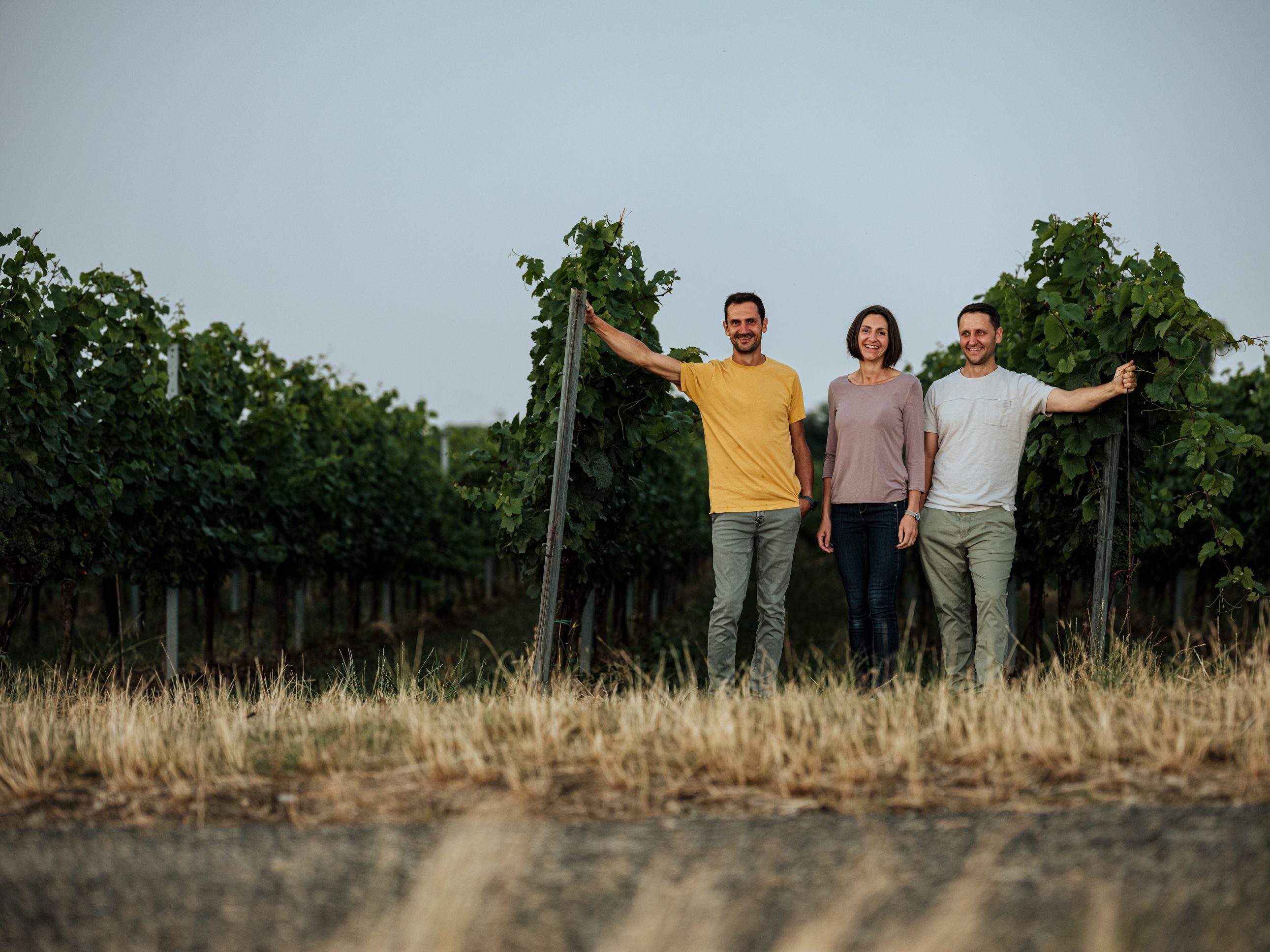 Drei Personen stehen in einem Weinberg zwischen Reben.