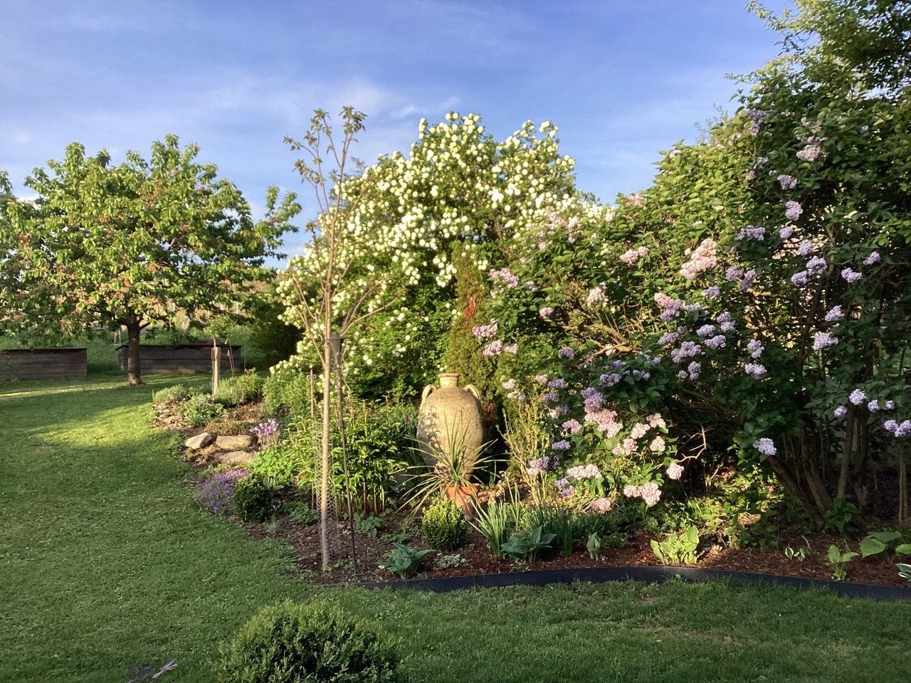 Ein gepflegter Garten mit blühenden Sträuchern, einem Baum und einer großen Vase im Sonnenlicht.