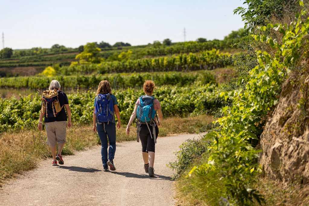 Wandern durch die Weingärten