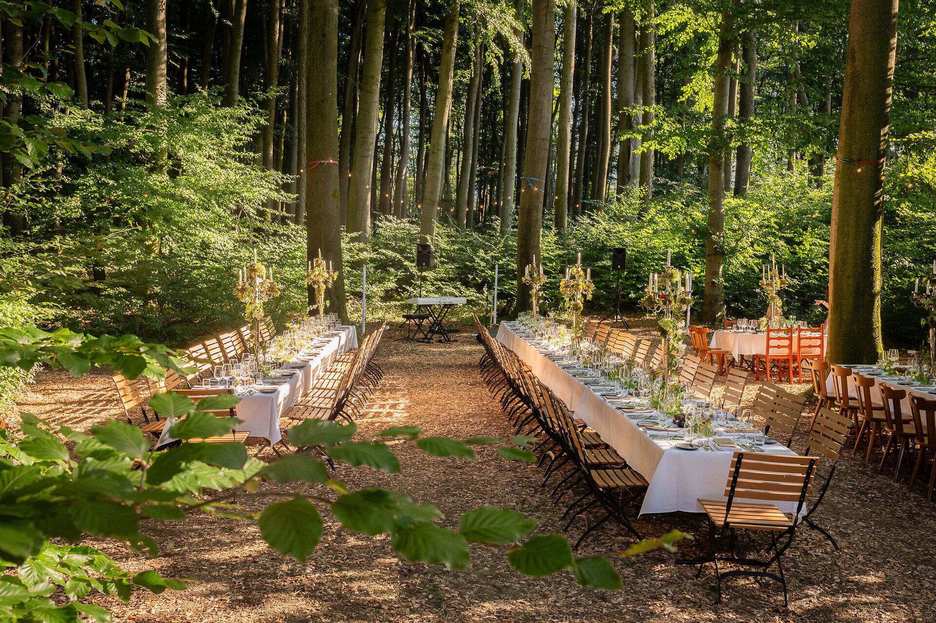 Inmitten einer stimmungsvollen Waldkulisse brechen Sonnenstrahlen durch das Blätterdach und tanzen über edelweiß eingedeckte Tische. Pompöse Kerzenständer und natürlicher Blumenschmuck vervollkommnen die einladende Atmosphäre.