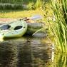 Ein grünes Stand-Up Paddle-Board liegt am Ufer eines Teiches, daneben schwimmt eine kleine Ente im Wasser.