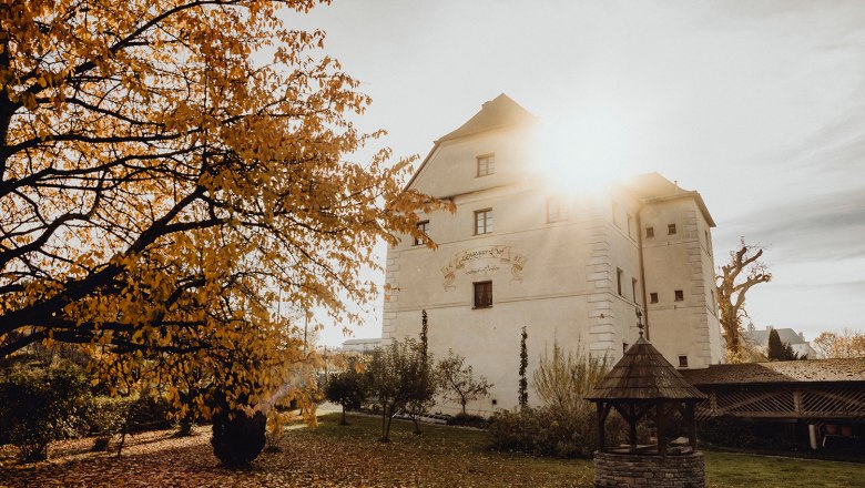 Herbstliche Szene mit historischem Geb&auml;ude und Baum im Sonnenlicht.