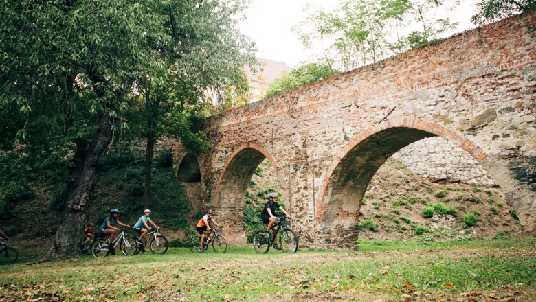 Gruppe von Radfahrern unter einer alten Backsteinbr&uuml;cke im Gr&uuml;nen.