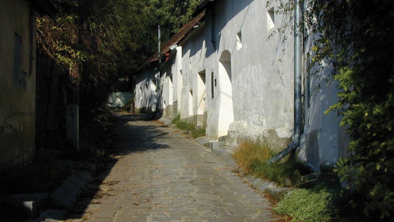 Eine schmale, gepflasterte Gasse mit wei&szlig;en Geb&auml;uden und gr&uuml;ner Vegetation in Enzersfeld.